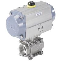 Type 8805 Ball Valve / Butterfly Valve with Pneumatic Rotary Actuator